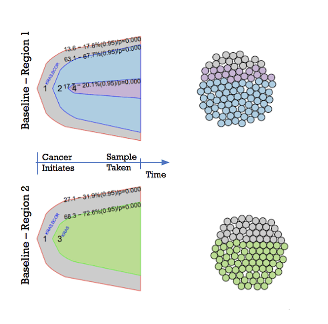 Cancer heterogeneity